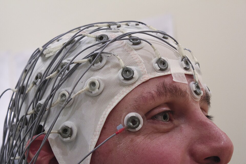 BCI EEG Cap